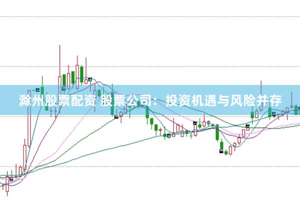 滁州股票配资 股票公司：投资机遇与风险并存