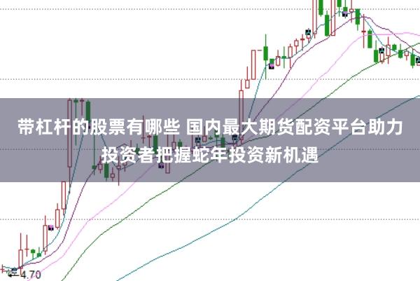 带杠杆的股票有哪些 国内最大期货配资平台助力投资者把握蛇年投资新机遇