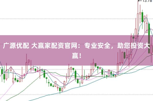 广源优配 大赢家配资官网：专业安全，助您投资大赢！