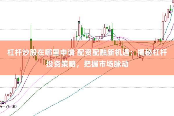 杠杆炒股在哪里申请 配资配融新机遇：揭秘杠杆投资策略，把握市场脉动