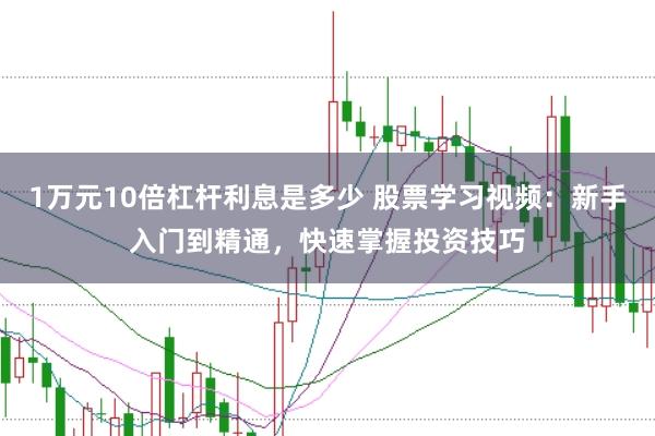 1万元10倍杠杆利息是多少 股票学习视频：新手入门到精通，快速掌握投资技巧