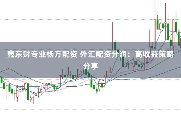 鑫东财专业杨方配资 外汇配资分润：高收益策略分享