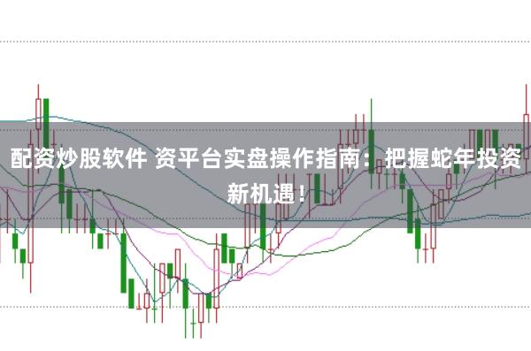 配资炒股软件 资平台实盘操作指南：把握蛇年投资新机遇！