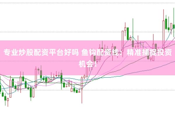 专业炒股配资平台好吗 鱼钩配资线：精准捕捉投资机会！
