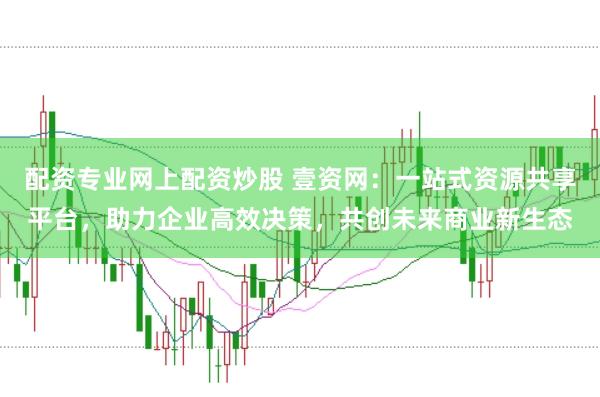 配资专业网上配资炒股 壹资网：一站式资源共享平台，助力企业高效决策，共创未来商业新生态
