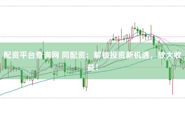 配资平台查询网 同配资：解锁投资新机遇，放大收益！