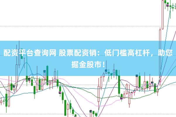 配资平台查询网 股票配资销：低门槛高杠杆，助您掘金股市！