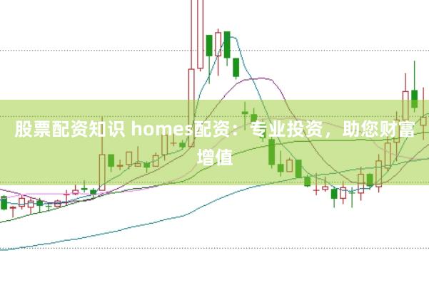 股票配资知识 homes配资：专业投资，助您财富增值