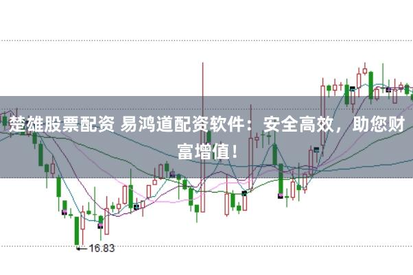 楚雄股票配资 易鸿道配资软件：安全高效，助您财富增值！