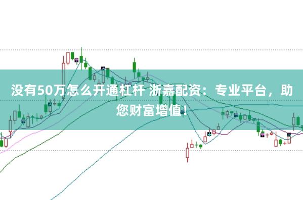 没有50万怎么开通杠杆 浙嘉配资：专业平台，助您财富增值！