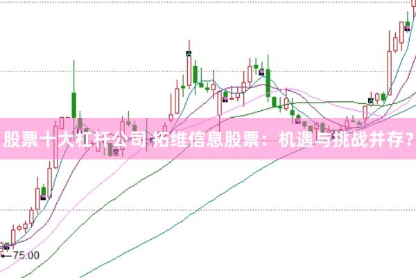股票十大杠杆公司 拓维信息股票：机遇与挑战并存？