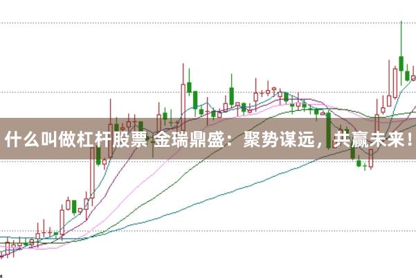 什么叫做杠杆股票 金瑞鼎盛：聚势谋远，共赢未来！