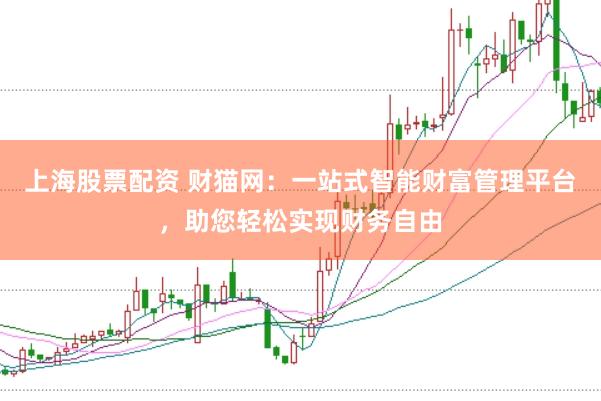 上海股票配资 财猫网：一站式智能财富管理平台，助您轻松实现财务自由