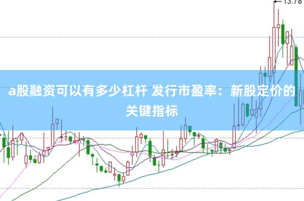 a股融资可以有多少杠杆 发行市盈率：新股定价的关键指标