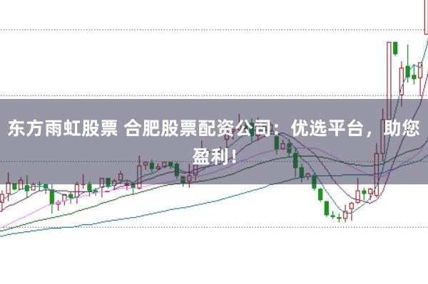 东方雨虹股票 合肥股票配资公司：优选平台，助您盈利！