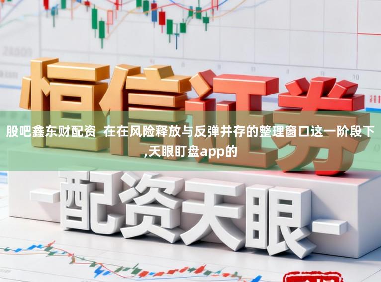 股吧鑫东财配资  在在风险释放与反弹并存的整理窗口这一阶段下，天眼盯盘app的