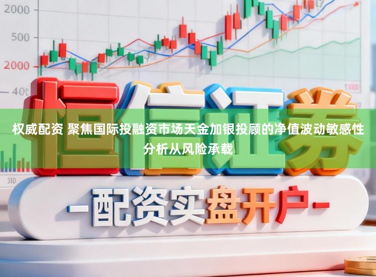 权威配资 聚焦国际投融资市场天金加银投顾的净值波动敏感性分析从风险承载