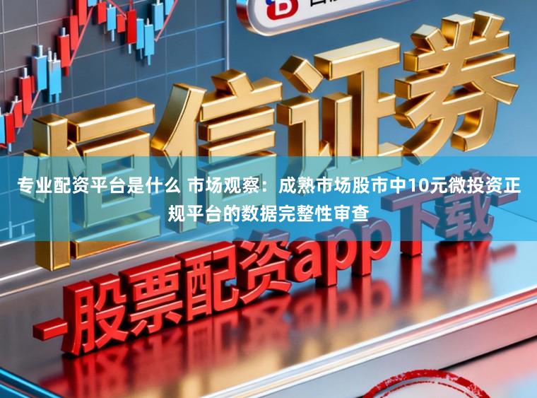 专业配资平台是什么 市场观察：成熟市场股市中10元微投资正规平台的数据完整性审查