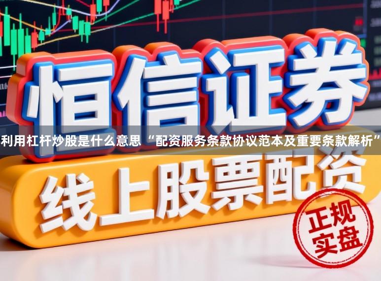 利用杠杆炒股是什么意思 “配资服务条款协议范本及重要条款解析”