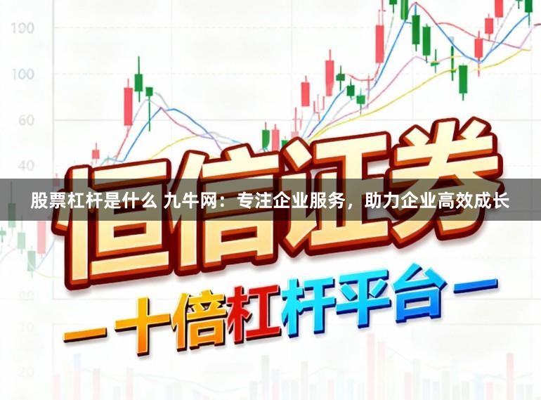 股票杠杆是什么 九牛网：专注企业服务，助力企业高效成长